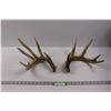 Image 1 : (1 pr) Deer Sheds