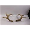 Image 2 : (1 pr) Deer Sheds