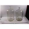 Image 1 : 2X the Bid Price - (2) Carboys (6 Gal./ 24L)