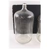 Image 2 : 2X the Bid Price - (2) Carboys (6 Gal./ 24L)