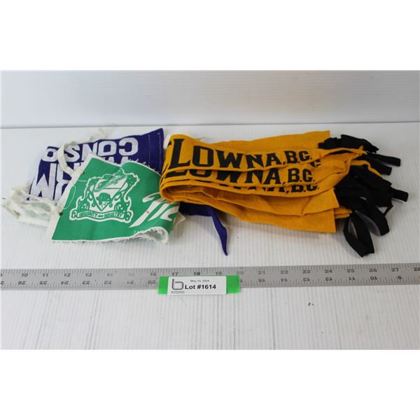 Vintage Pennants - Kelowna, Warman, Melville