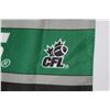 Image 2 : Saskatchewan Rough Riders Official CFL Flag - Smells Of Smoke, Few Stains