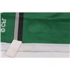 Image 6 : Saskatchewan Rough Riders Official CFL Flag - Smells Of Smoke, Few Stains