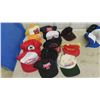 Image 4 : New/Used Baseball Caps: Bobcat, Texaco, Esso, Plus