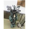 Image 2 : 17 Golf Clubs, 2 Bags, Cart