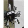 Image 3 : 17 Golf Clubs, 2 Bags, Cart