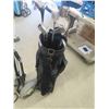 Image 2 : 12 Golf Clubs, Bag, Cart