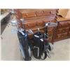 Image 1 : 8 JR Golf Clubs, 2 Bags, 1 Cart