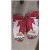 Image 2 : Goalie Pads, 5 Hockey Sticks, Montreal Canadian Scarfs