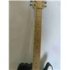 Image 8 : Custom Built 12 String Electric Guitar with Hard Case 