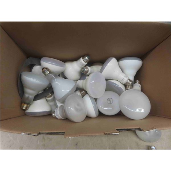 Box of Light Bulbs 