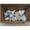 Image 1 : Box of Light Bulbs 