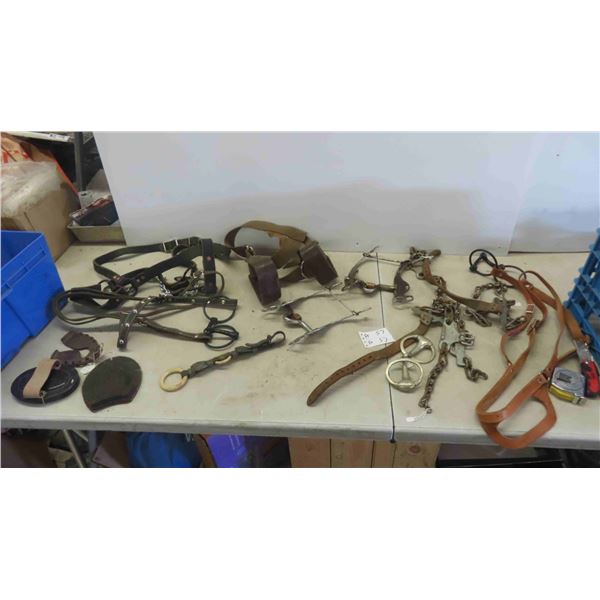 Bridles, Horse Halter, Horse Grooming, Oxen Shoe, Plus