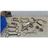 Image 1 : 14 Horse Bits , 1 Trainer