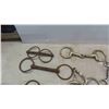 Image 2 : 14 Horse Bits , 1 Trainer