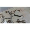 Image 6 : 14 Horse Bits , 1 Trainer