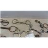 Image 7 : 14 Horse Bits , 1 Trainer