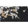 Image 2 : Quantity of Keys 