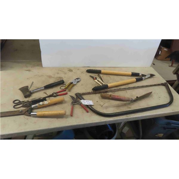 Saw, Pruners, Hatchet, Hedge Trimmer