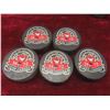 Image 4 : 16 Hockey Pucks: Detroit, Team Canada 1972, Plus