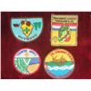 Image 3 : Crests and Patches: Winnipeg Fire Department & Others 