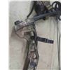 Image 7 : Youth Compound Bow 