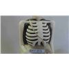 Image 3 : Skeleton/Tombstone Blow Mold 