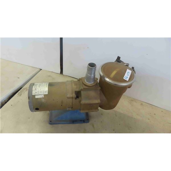 3/4HP Pump