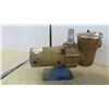 Image 2 : 3/4HP Pump