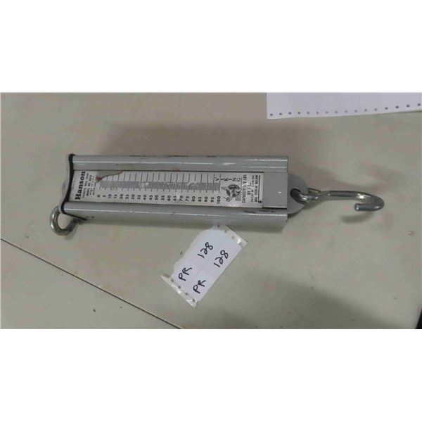 Hanson 100lbs Hanging Scale 