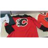 Image 3 : 5 Hockey Jerseys Sizes M, L & XL 