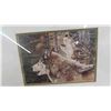 Image 2 : 2 Framed Wolf Prints by Andrew Kiss Approx. 12'' x 16''