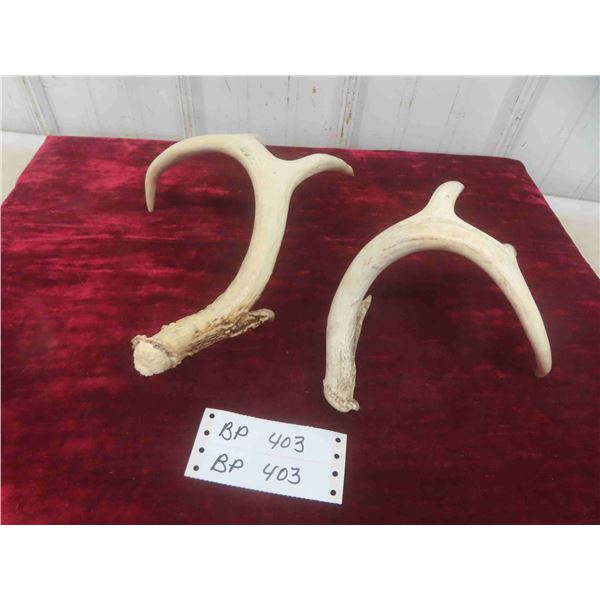 Deer Horn Sheds