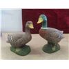 Image 2 : 6 Ducks - Styrofoam & 2 Small Ceramic
