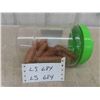 Image 1 : Pennies 