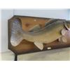 Image 3 : Masters Anglers Mounted Walleye 32'' x 16'' 