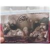 Image 2 : Signed Tommy Chong 4'' x 6'' Cheech and Chong Photo