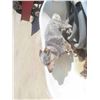 Image 8 : Cast Bath Tub with 4 Claw Feet 
