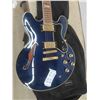 Image 2 : Epiphone Model Sheraion 11 Pro Electric Guitar with Soft Case 