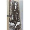 Image 8 : 10 Posters, 4 Pendants