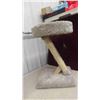 Image 2 : Cat Climbing Tree with Perch , Cat Travel Back Pack 