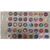 Image 2 : Pogs in Pog Sheet Holders