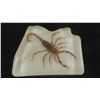 Image 2 : Vintage Scorpion in Lucite Resin Paperweight from Arizona