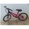 Image 1 : Girls Evolution Bike 19'' with Kick Stand
