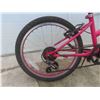 Image 4 : Girls Evolution Bike 19'' with Kick Stand