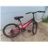 Image 9 : Girls Evolution Bike 19'' with Kick Stand