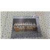 Image 1 : 1965-66 Toledo Blades Hockey Team Photo with Autographs 6'' x 9'' 
