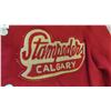 Image 3 : Vintage Calgary Stampeders Jacket 