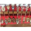 Image 17 : 3 Wood and Glass Cases Full of Collector Spoons 25'' x 13'' 