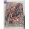 Image 3 : 10 Abstract Oil Paintings on Canvas Largest Measures 12'' x 16''